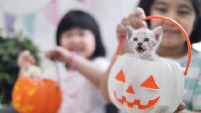 4K Happy Asian girl playing hide and seek with little kitten inside pumpkin bucket, Happy Halloween