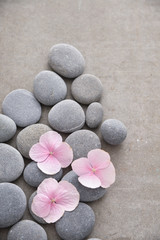 Fototapeta na wymiar Pink hydrangea petals with pile of gray stones on gray background