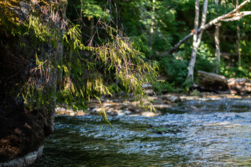 Nõmmeveski, Estonia