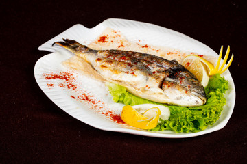 Grilled dorada fish