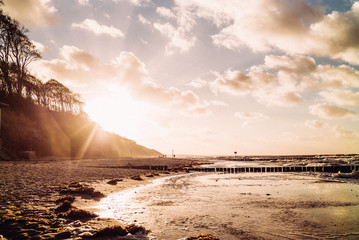 Gespensterwald Nienhagen (bei Rostock) im Herbst