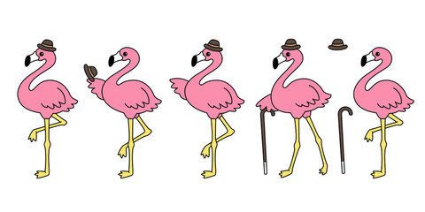 pink flamingo vector set hat cartoon character icon flamingos collection illustration Cute animal exotic nature wild fauna © CNuisin