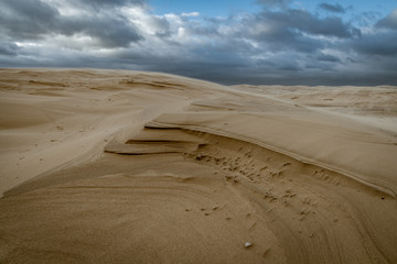 sand dunes in the desert