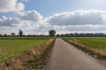Straight asphalt road. Turn right or left