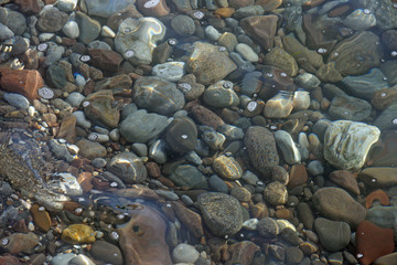 Multicolored pebble under clear water of shallow as natural background.