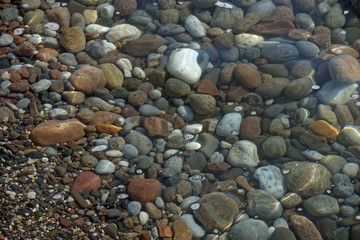 Multicolored pebble under clear water of shallow as natural background.