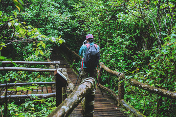 Asian man travel nature. Take a picture Nature Study in the Jungle at Chiangmai in Thailand.