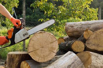 Close-up of woodcutter sawing chain saw in motion, sawdust fly to sides.  A person using a chainsaw...