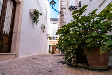 Little alley in the medieval center of the white village of Locorotondo