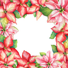 Watercolor wreath from red and pink poinsettia flowers for Christmas and New Year design