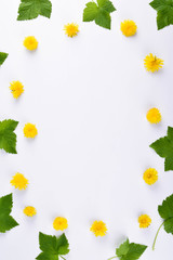  Green leaves and yellow flowers on white background with round copy space in the center