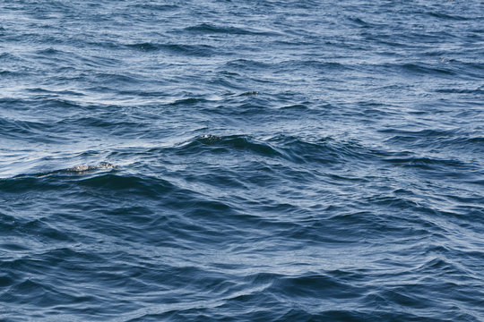Vaguelettes sur la mer en Bretagne © oceane2508