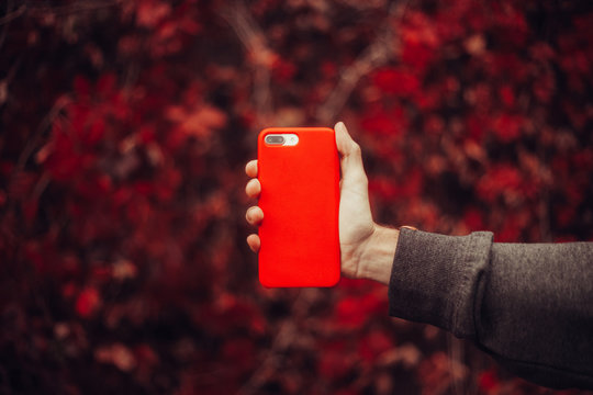 Phone in hand. Isolated object