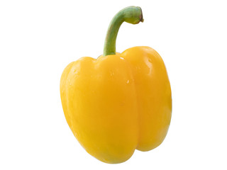 Bell pepper