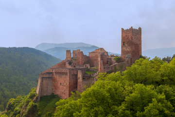 Fototapeta premium Ruins of the medieval castle Saint-Ulrich (built from the 11th to the 16th centuries) on the top of the hill at Ribeauville, Alsace, France