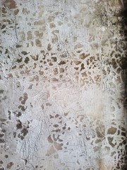 cement old wall background