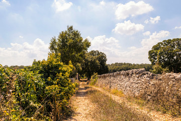Fototapeta na wymiar Countryside in Valle d’Itria near Cisternino, Locorotondo and Martina Franca