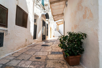 Fototapeta na wymiar Little alley in the medieval center of the white village of Cisternino