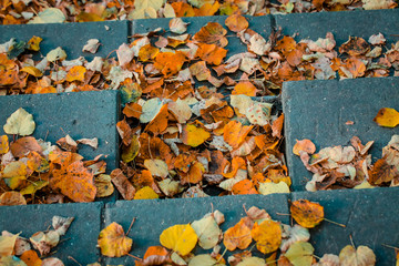 Close up. The steps of the old staircase are covered with autumn leaves.