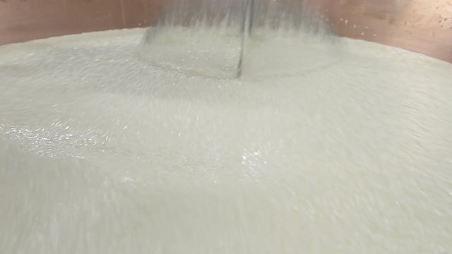 CASEIFICIO LAVORAZIONE PARMIGIANO REGGIANO