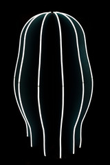 Neon light in cactus shape on black background