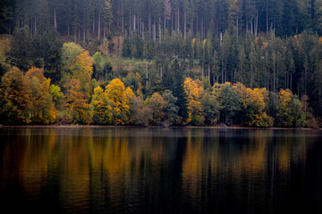 Reflejos 