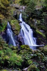 Naklejka premium Cascadas Triberg