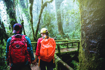 Lover asian man and asian women travel nature. Nature Study in the rain forest at Chiangmai in Thailand.