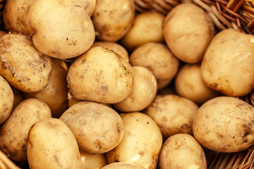 Basket of fresh tasty new potatoes.