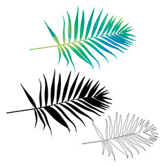 watercolor silhouette of palm leaf, set, vector