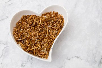 würmer als vorspeise