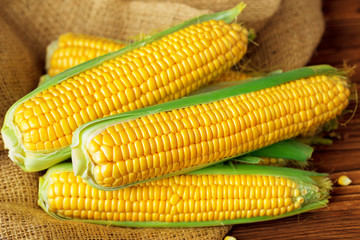 Raw corn on a wooden table
