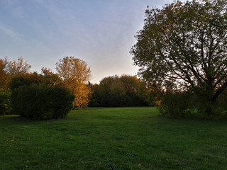 Fototapeta na wymiar Sunny morning landscape in October parkSunny morning landscape in October park