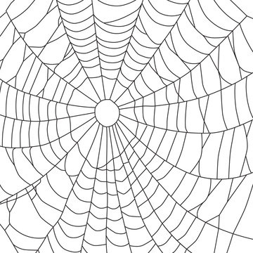 Cobweb pattern, background