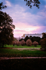 Fototapeta premium sunset in the castle park, rusovce