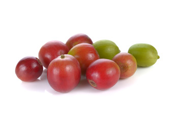 Fresh Coffee bean on white background