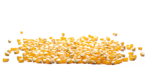 Raw corn kernels isolated on white background