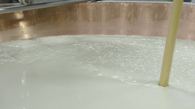 CASEIFICIO LAVORAZIONE PARMIGIANO REGGIANO