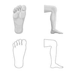Obraz premium Isolated object of human and part sign. Set of human and woman vector icon for stock.