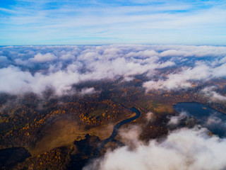 Aerial view over forest during vibrant autumn colors. Aerial view of seashore with stone. Coastline with sand and water. Aerial drone view of forest with yellow trees and lake landscape from above