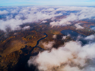 Aerial view over forest during vibrant autumn colors. Aerial view of seashore with stone. Coastline with sand and water. Aerial drone view of forest with yellow trees and lake landscape from above