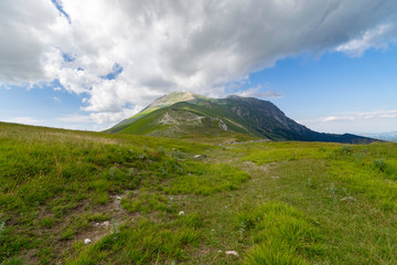 Fototapeta na wymiar Paesaggio montano con veduta sul Monte Vettore
