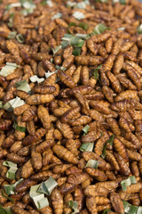 Delicious fried silkworms is one kind of Thailand street food