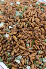 Delicious fried silkworms is one kind of Thailand street food