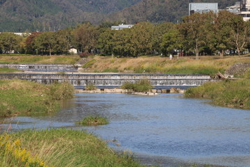 京都ぶらり、秋の鴨川に光る水面