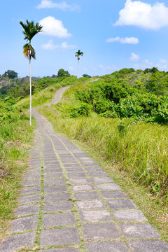 bli ubud campuhang