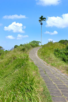 bli ubud campuhang