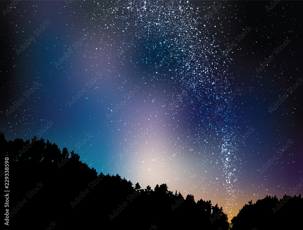 Wall mural night starry landscape vector background. universe illustration with silhouette of trees and hill. c