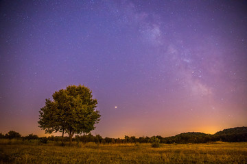 Fototapeta na wymiar Milchstraße in der Nacht. Baum, Felder, Hügel und violetter Himmel
