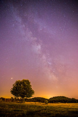 Fototapeta na wymiar Milchstraße in der Nacht. Baum, Felder, Hügel und violetter Himmel